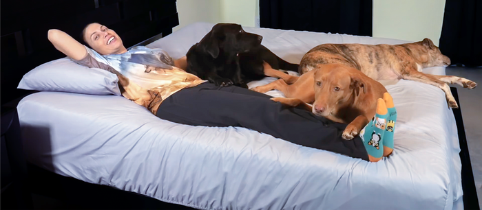 We asked Dr. Jo and her Three Doggos’ to try 700 tiny mattresses… They love it!