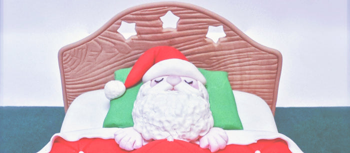 Santa’s Christmas Eve Sleep Guide