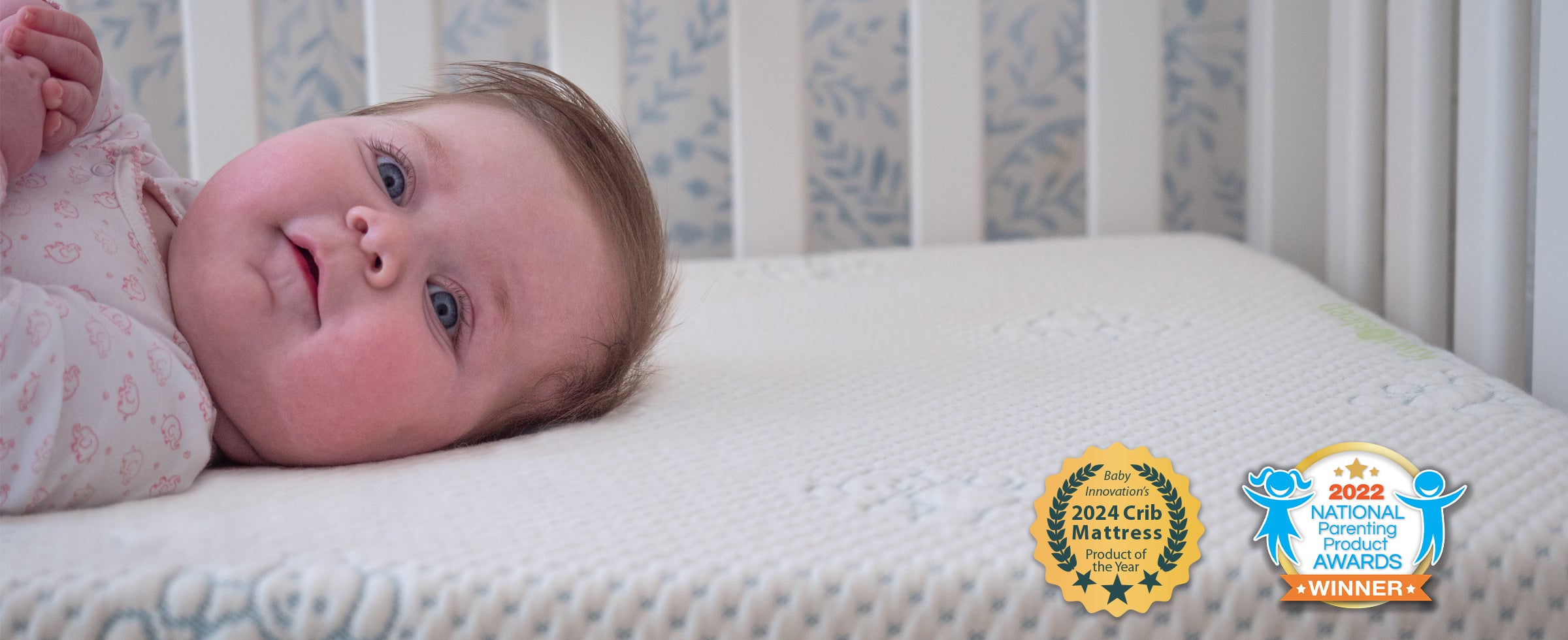 FDA Listed Baby Toddler Mattresses Kiwi Sleep Kiwi Sleep Previously known as SleepOvation